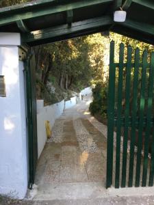 une porte verte menant à une route dans l'établissement Villa Erika, à Montenero