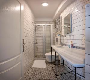 ein Bad mit einem Waschbecken, einem WC und einer Dusche in der Unterkunft Dorne Suite Taksim Hotel in Istanbul