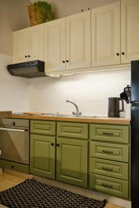 a kitchen with green cabinets and a sink at Villa Doreta in Roda