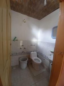 a bathroom with a toilet and a sink at Tourist Cottage Hunza in Hunza +31 photos
