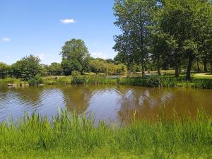 un grand étang dans un parc avec de l'herbe et des arbres dans l'établissement Les Clés de Clessé, à Clessé