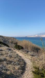 Fotografie z fotogalerie ubytování Blue Bay Apartments Pag v destinaci Pag
