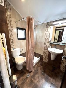 a bathroom with a toilet and a sink at Rodopski Ailyak in Dospat +22 photos