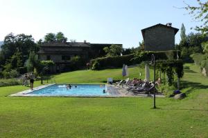a group of people in a swimming pool in a yard at Agriturismo Braccicorti in Pieve Fosciana