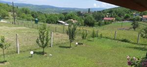 Paesaggio naturale nelle vicinanze della stanza in casa privata