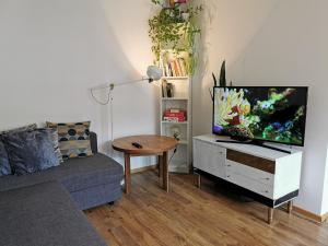 TV/trung tâm giải trí tại Ant Bangos