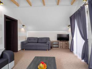 a living room with a couch and a tv at Domek na Słonej in Szczawnica