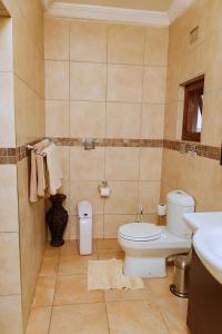 a bathroom with a toilet and a sink at Shamba Lodge in Kitwe