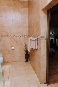 a bathroom with a tiled shower with a towel at Shamba Lodge in Kitwe