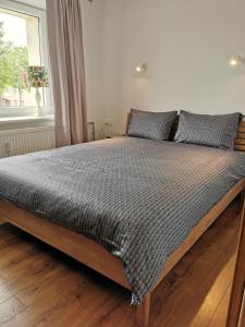 Giường trong phòng chung tại Ant Bangos