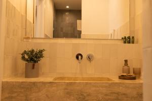 a bathroom with a sink with a mirror and a plant at Masseria Il Passo in Favignana