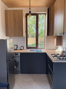 una cucina con armadi neri, lavandino e finestra di Racha Twins a Nikortsminda