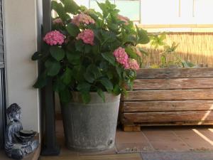 Vonkajšia záhrada v ubytovaní La terrasseta