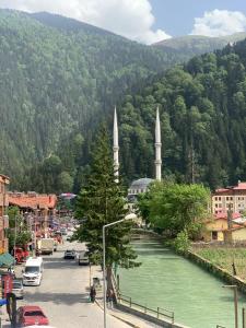 a city with two mosques and a river in a town at ÇAVUŞ APART in Uzungol