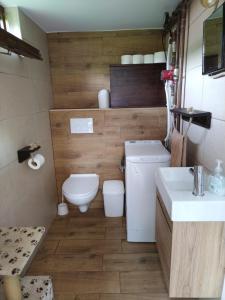 a small bathroom with a toilet and a sink at Holiday Home Jakovci in Netretić +36 photos