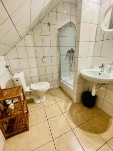 ein Bad mit einem WC und einem Waschbecken in der Unterkunft Chata pod Jaworem in Wisła