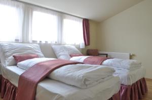 two beds sitting next to each other in a bedroom at Penzion Lípa in Krásná Lípa