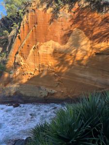 an image of a cliff with drawings on it at Les villas du cap piscine chauffée avril à octobre in Saint-Joseph