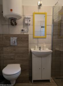W łazience znajduje się toaleta, umywalka i lustro. w obiekcie Domki Drewniane TREBOR w mieście Międzyzdroje