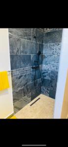 een badkamer met een douche en een stenen muur bij Les villas du cap piscine chauffée avril à octobre in Saint-Joseph