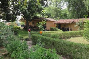 A garden outside Wild Planet Eco Retreat