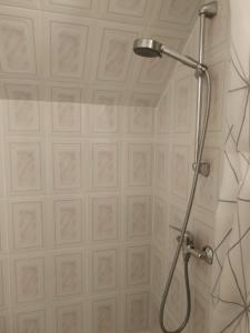 a shower in a bathroom with a tile wall at Red Nose roof-top apartment in Rīga
