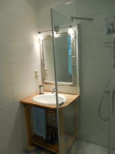La salle de bains est pourvue d'un lavabo et d'une douche. dans l'établissement Apartment Haus Brüchert, à Wernigerode