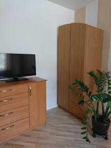 TV a/nebo společenská místnost v ubytování Link Kauno marių...