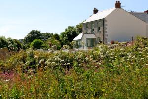 um campo de flores em frente a uma casa em Fig Tree House em Penryn