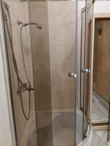 a shower with a glass door in a bathroom at Cottages Delloress in Jūrmala
