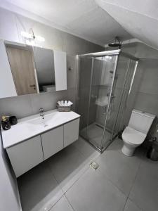 La salle de bains est pourvue d'une douche, d'un lavabo et de toilettes. dans l'établissement Votsalo Corfu town apartment, à Ágios Rókkos