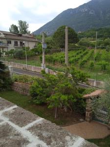 Casa vacanze ACQUAVIVA في Melizzano: اطلالة على مزارع العنب من شرفة المنزل