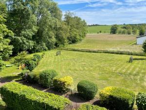 ein großes Grasfeld mit Büschen und Bäumen in der Unterkunft Ferienanlage Villa Maare in Gillenfeld