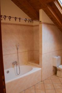 Kúpeľňa v ubytovaní Villa Rosina Loft
