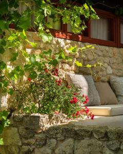 Χώρος καθιστικού στο Petrino Eco Village