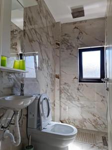 Łazienka z białą toaletą i umywalką w obiekcie Vila Lazri w mieście Skataj