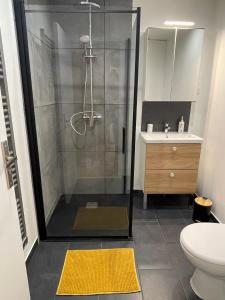 e bagno con doccia, servizi igienici e lavandino. di Le Sommelier Centre Ville a Épernay