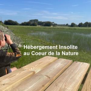 a boy taking a picture of a wooden bench in a field at Nature en Somme in Quend