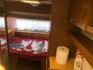 U Basi i Romana客房内的一张或多张床位