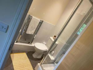 a small bathroom with a toilet and a shower at Global Boutique Relocation Ltd 2Bed -free parking in Hatfield