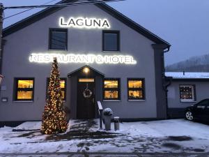 a building with a christmas tree in front of it at LAGUNA Hotel & Restaurant in Přimda