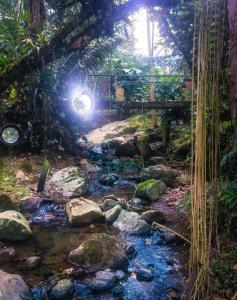 einen Bach in einem Wald bei Nacht mit Lichtern in der Unterkunft La Finestra Spa Hotel Boutique in La Vega