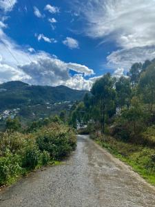 eine unbefestigte Straße mit Bäumen an der Seite eines Hügels in der Unterkunft Emmanuel Inn in Kodaikanal