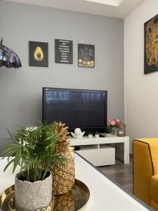 Televízia a/alebo spoločenská miestnosť v ubytovaní Providenca Apartments