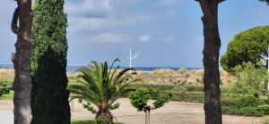eine Gruppe von Palmen in einem Park in der Unterkunft Une Escale en bord de Plage avec piscine et jardins in Le Grau-du-Roi