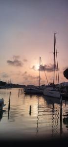 un grupo de barcos atracados en un puerto al atardecer en Marina Sunset, en Le Grau-du-Roi