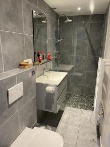 ein Bad mit einer Dusche, einem WC und einem Waschbecken in der Unterkunft Appartement 5 personnes avec accès piscine in Thyle