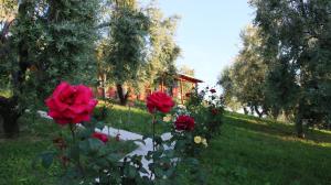 Giardino di Agroturizem Bylis