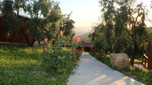 Giardino di Agroturizem Bylis