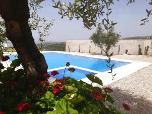 a blue swimming pool with a tree and flowers at Agroturizem Bylis in Hekal